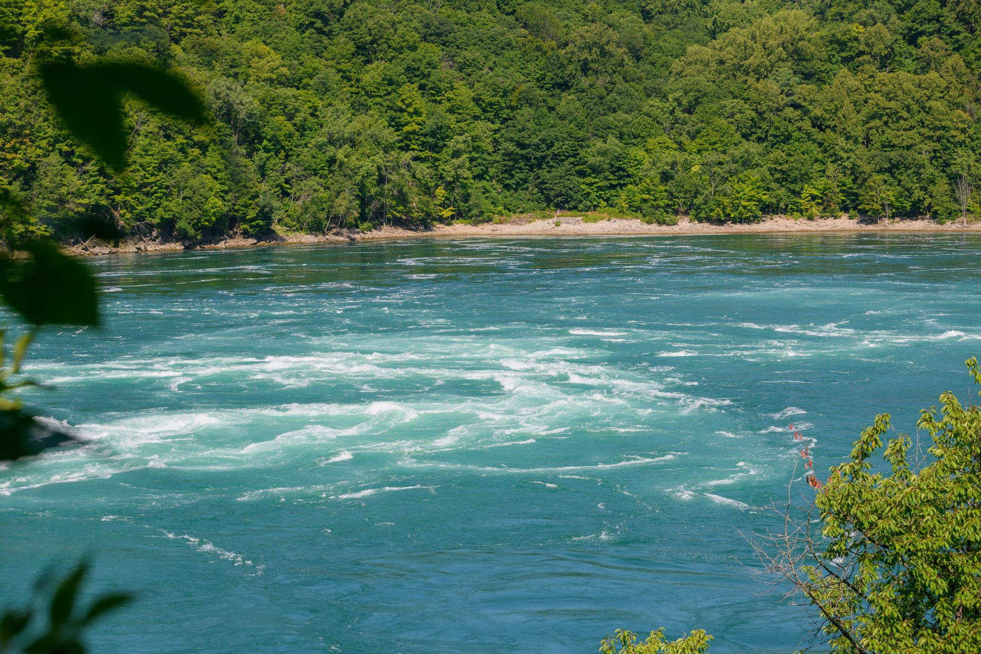 Gorge Trail, Falls, Jet Boat  (12 of 55)